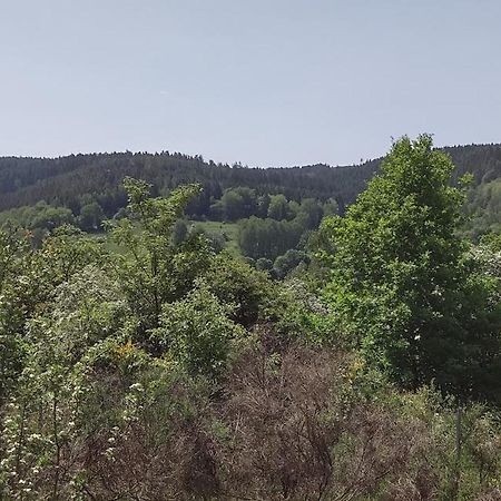 Sessles Waldhaeusschen Dietzhausen Suhl Eksteriør billede